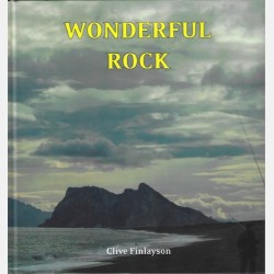 Wonderful Rock (Clive Finlayson) 